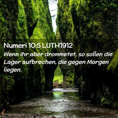 Picture 02 - Numeri 10:5 LUTH1912 - Wenn ihr aber drommetet, so sollen die Lager - Bible Verse Picture