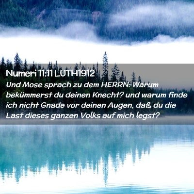Picture 02 - Numeri 11:11 LUTH1912 - Und Mose sprach zu dem HERRN: Warum bekümmerst - Bible Verse Picture