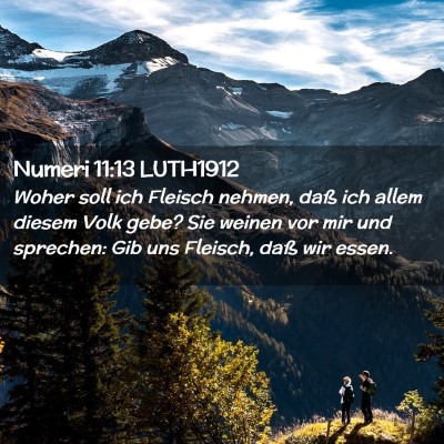 Picture 02 - Numeri 11:13 LUTH1912 - Woher soll ich Fleisch nehmen, daß ich allem - Bible Verse Picture