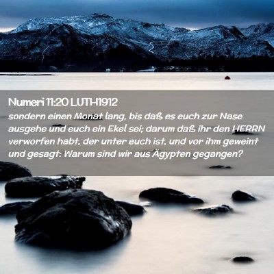Picture 02 - Numeri 11:20 LUTH1912 - sondern einen Monat lang, bis daß es euch zur - Bible Verse Picture