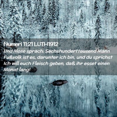 Picture 02 - Numeri 11:21 LUTH1912 - Und Mose sprach: Sechshunderttausend Mann - Bible Verse Picture