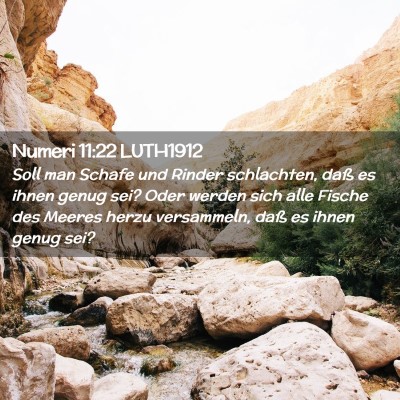 Picture 02 - Numeri 11:22 LUTH1912 - Soll man Schafe und Rinder schlachten, daß es - Bible Verse Picture