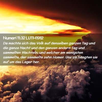 Picture 02 - Numeri 11:32 LUTH1912 - Da machte sich das Volk auf denselben ganzen Tag - Bible Verse Picture