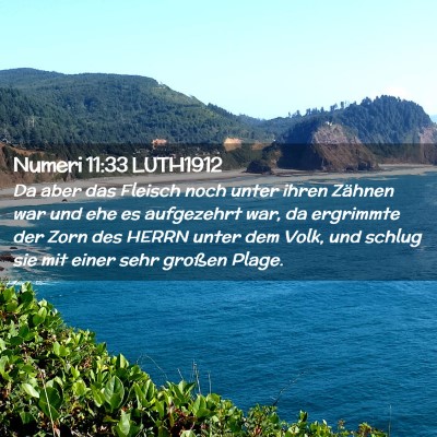 Picture 02 - Numeri 11:33 LUTH1912 - Da aber das Fleisch noch unter ihren Zähnen war - Bible Verse Picture