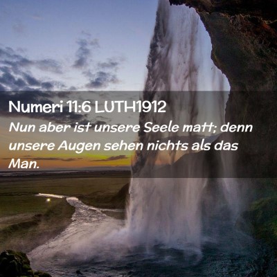 Picture 02 - Numeri 11:6 LUTH1912 - Nun aber ist unsere Seele matt; denn unsere Augen - Bible Verse Picture