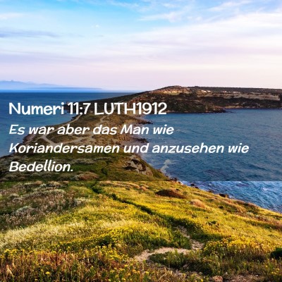 Picture 02 - Numeri 11:7 LUTH1912 - Es war aber das Man wie Koriandersamen und - Bible Verse Picture