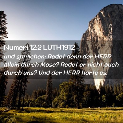 Picture 02 - Numeri 12:2 LUTH1912 - und sprachen: Redet denn der HERR allein durch - Bible Verse Picture