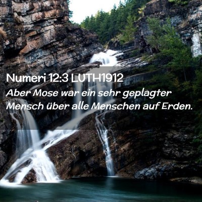 Picture 02 - Numeri 12:3 LUTH1912 - Aber Mose war ein sehr geplagter Mensch über - Bible Verse Picture