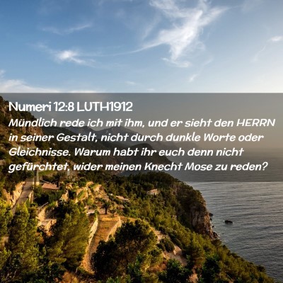 Picture 02 - Numeri 12:8 LUTH1912 - Mündlich rede ich mit ihm, und er sieht den - Bible Verse Picture