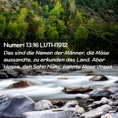 Picture 02 - Numeri 13:16 LUTH1912 - Das sind die Namen der Männer, die Mose - Bible Verse Picture