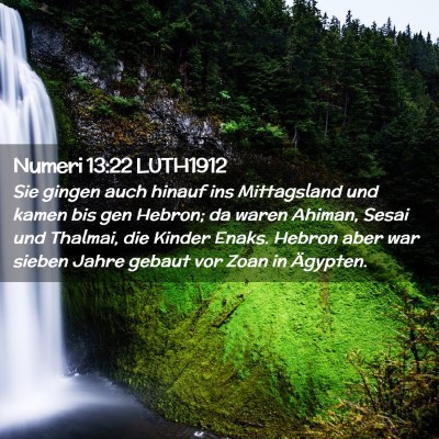 Picture 02 - Numeri 13:22 LUTH1912 - Sie gingen auch hinauf ins Mittagsland und kamen - Bible Verse Picture