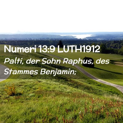 Picture 02 - Numeri 13:9 LUTH1912 - Palti, der Sohn Raphus, des Stammes - Bible Verse Picture