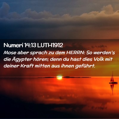 Picture 02 - Numeri 14:13 LUTH1912 - Mose aber sprach zu dem HERRN: So werden's die - Bible Verse Picture