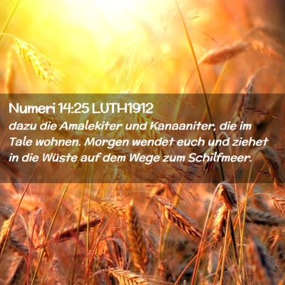 Picture 02 - Numeri 14:25 LUTH1912 - dazu die Amalekiter und Kanaaniter, die im Tale - Bible Verse Picture