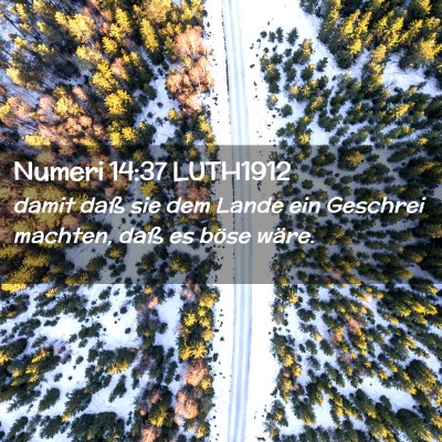 Picture 02 - Numeri 14:37 LUTH1912 - damit daß sie dem Lande ein Geschrei machten, - Bible Verse Picture