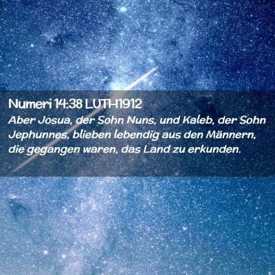 Picture 02 - Numeri 14:38 LUTH1912 - Aber Josua, der Sohn Nuns, und Kaleb, der Sohn - Bible Verse Picture