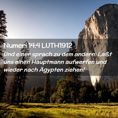 Picture 02 - Numeri 14:4 LUTH1912 - Und einer sprach zu dem andern: Laßt uns einen - Bible Verse Picture