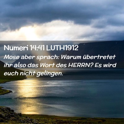 Picture 02 - Numeri 14:41 LUTH1912 - Mose aber sprach: Warum übertretet ihr also das - Bible Verse Picture