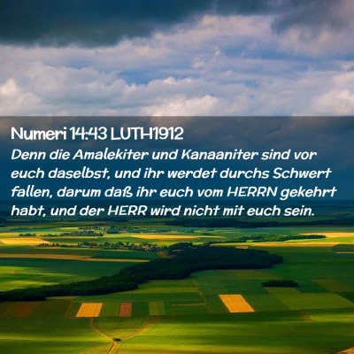 Picture 02 - Numeri 14:43 LUTH1912 - Denn die Amalekiter und Kanaaniter sind vor euch - Bible Verse Picture