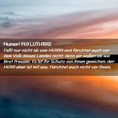 Picture 02 - Numeri 14:9 LUTH1912 - Fallt nur nicht ab vom HERRN und fürchtet euch - Bible Verse Picture