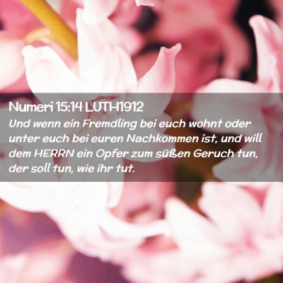 Picture 02 - Numeri 15:14 LUTH1912 - Und wenn ein Fremdling bei euch wohnt oder unter - Bible Verse Picture