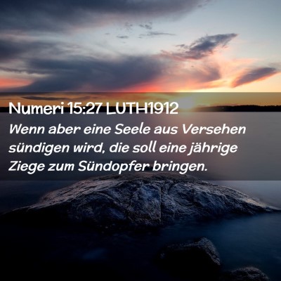 Picture 02 - Numeri 15:27 LUTH1912 - Wenn aber eine Seele aus Versehen sündigen wird, - Bible Verse Picture
