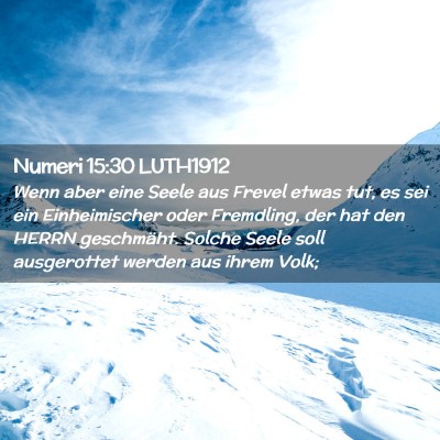 Picture 02 - Numeri 15:30 LUTH1912 - Wenn aber eine Seele aus Frevel etwas tut, es sei - Bible Verse Picture