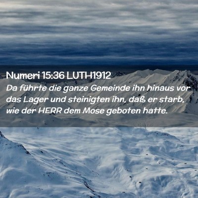 Picture 02 - Numeri 15:36 LUTH1912 - Da führte die ganze Gemeinde ihn hinaus vor das - Bible Verse Picture