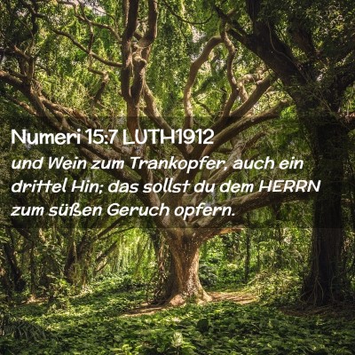 Picture 02 - Numeri 15:7 LUTH1912 - und Wein zum Trankopfer, auch ein drittel Hin; - Bible Verse Picture