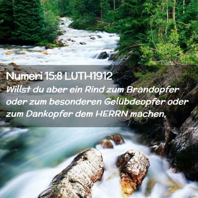 Picture 02 - Numeri 15:8 LUTH1912 - Willst du aber ein Rind zum Brandopfer oder zum - Bible Verse Picture