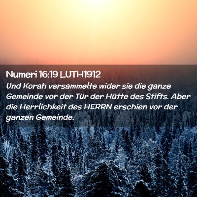 Picture 02 - Numeri 16:19 LUTH1912 - Und Korah versammelte wider sie die ganze - Bible Verse Picture