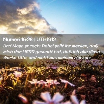 Picture 02 - Numeri 16:28 LUTH1912 - Und Mose sprach: Dabei sollt ihr merken, daß - Bible Verse Picture