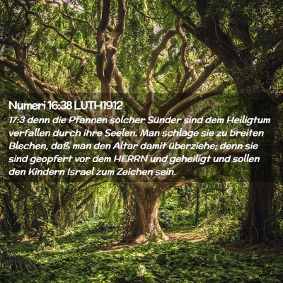 Picture 02 - Numeri 16:38 LUTH1912 - 17:3 denn die Pfannen solcher Sünder sind dem - Bible Verse Picture