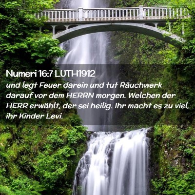 Picture 02 - Numeri 16:7 LUTH1912 - und legt Feuer darein und tut Räuchwerk darauf - Bible Verse Picture
