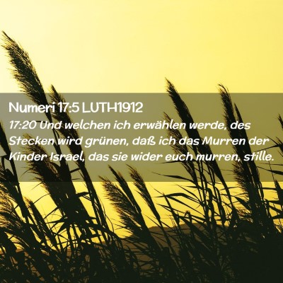 Picture 02 - Numeri 17:5 LUTH1912 - 17:20 Und welchen ich erwählen werde, des - Bible Verse Picture