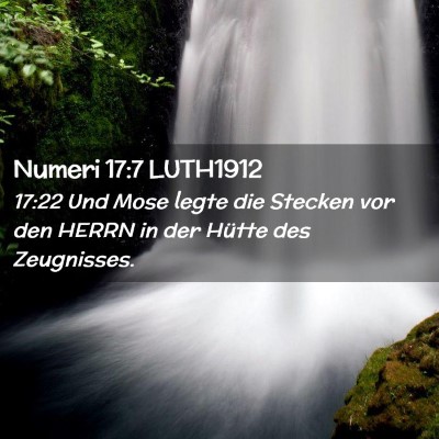 Picture 02 - Numeri 17:7 LUTH1912 - 17:22 Und Mose legte die Stecken vor den HERRN in - Bible Verse Picture