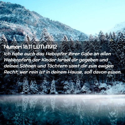 Picture 02 - Numeri 18:11 LUTH1912 - Ich habe auch das Hebopfer ihrer Gabe an allen - Bible Verse Picture