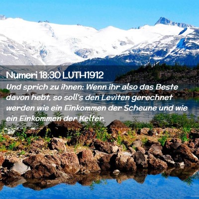 Picture 02 - Numeri 18:30 LUTH1912 - Und sprich zu ihnen: Wenn ihr also das Beste - Bible Verse Picture