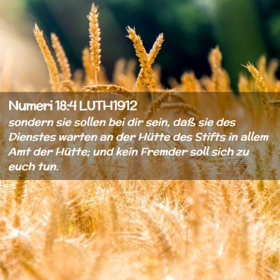 Picture 02 - Numeri 18:4 LUTH1912 - sondern sie sollen bei dir sein, daß sie des - Bible Verse Picture