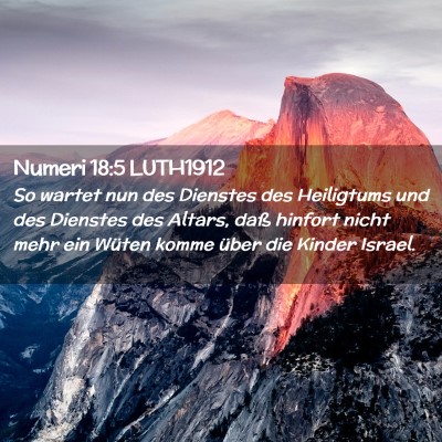 Picture 02 - Numeri 18:5 LUTH1912 - So wartet nun des Dienstes des Heiligtums und des - Bible Verse Picture
