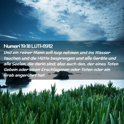 Picture 02 - Numeri 19:18 LUTH1912 - Und ein reiner Mann soll Isop nehmen und ins - Bible Verse Picture