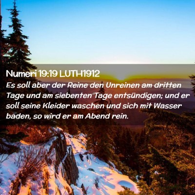 Picture 02 - Numeri 19:19 LUTH1912 - Es soll aber der Reine den Unreinen am dritten - Bible Verse Picture