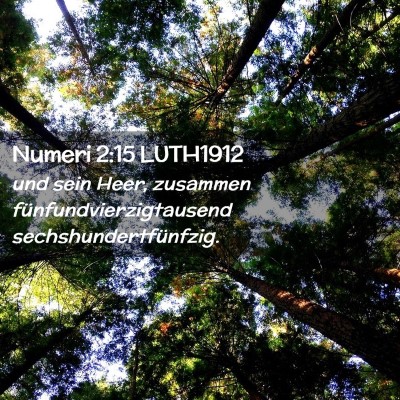 Picture 02 - Numeri 2:15 LUTH1912 - und sein Heer, zusammen fünfundvierzigtausend - Bible Verse Picture