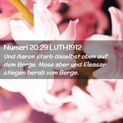 Picture 02 - Numeri 20:29 LUTH1912 - Und Aaron starb daselbst oben auf dem Berge. Mose - Bible Verse Picture