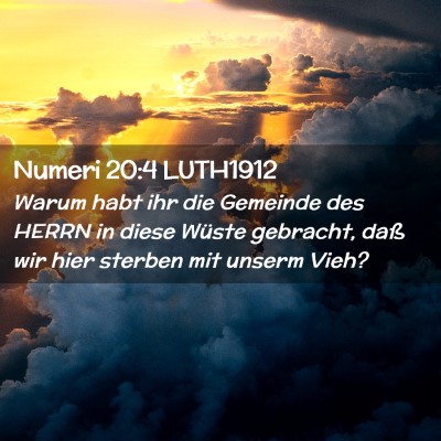Picture 02 - Numeri 20:4 LUTH1912 - Warum habt ihr die Gemeinde des HERRN in diese - Bible Verse Picture