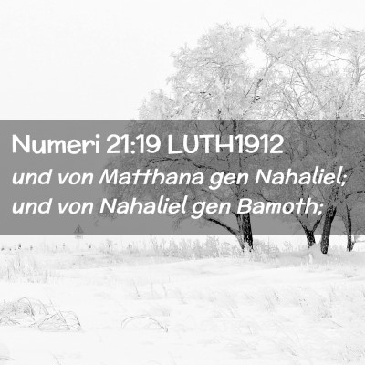 Picture 02 - Numeri 21:19 LUTH1912 - und von Matthana gen Nahaliel; und von Nahaliel - Bible Verse Picture