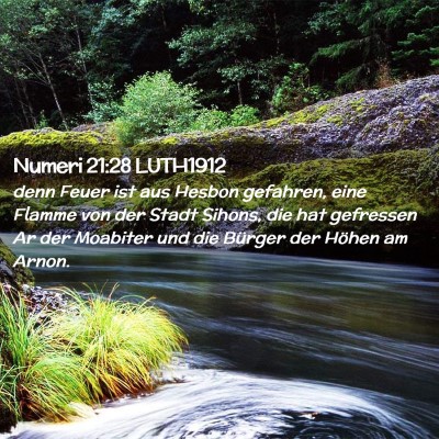 Picture 02 - Numeri 21:28 LUTH1912 - denn Feuer ist aus Hesbon gefahren, eine Flamme - Bible Verse Picture