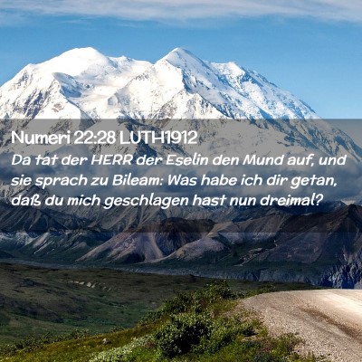Picture 02 - Numeri 22:28 LUTH1912 - Da tat der HERR der Eselin den Mund auf, und sie - Bible Verse Picture