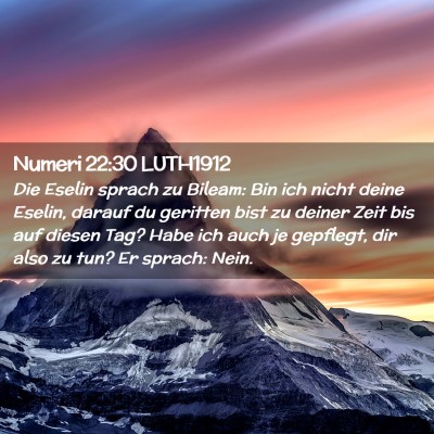 Picture 02 - Numeri 22:30 LUTH1912 - Die Eselin sprach zu Bileam: Bin ich nicht deine - Bible Verse Picture