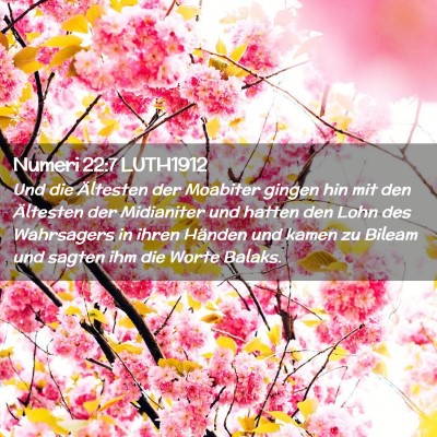 Picture 02 - Numeri 22:7 LUTH1912 - Und die Ältesten der Moabiter gingen hin mit den - Bible Verse Picture